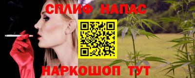 спиды Аргун