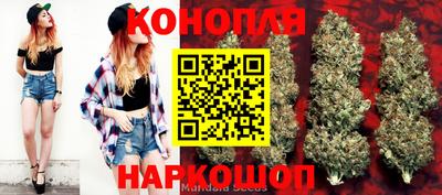 спиды Аргун